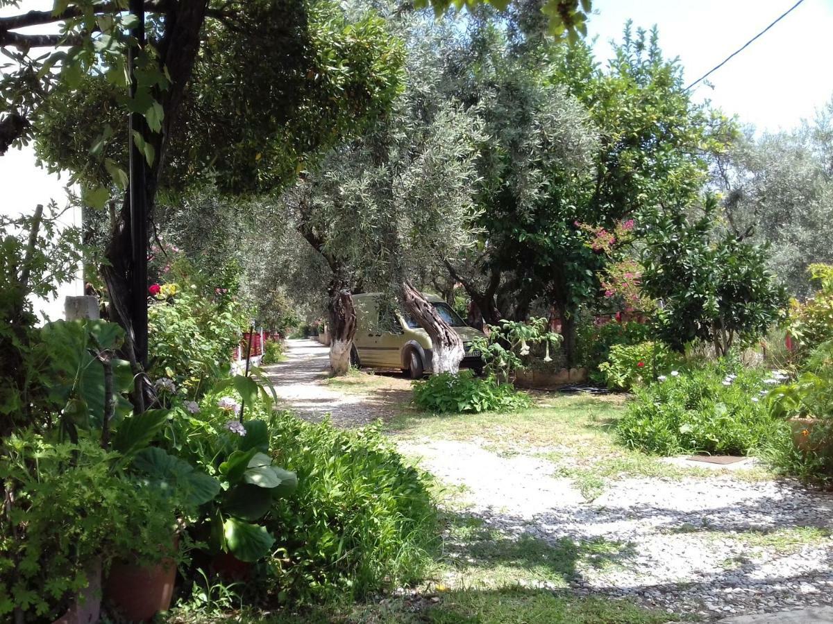 Koutadelias Rooms Kalamos  Luaran gambar